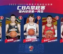 赛地聚焦——CBA常规赛转会期热度飙升，山东泰山伤情更新，引发热议，临场指挥获称赞的简单介绍-易游网址入口