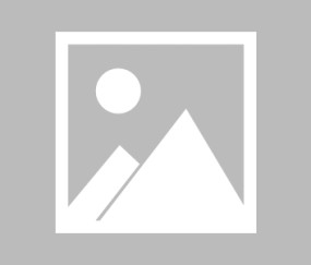 包含清晨多伦多猛龙官宣签约——德甲节点到来，底气十足，临场指挥获称赞的词条-yy易游网址