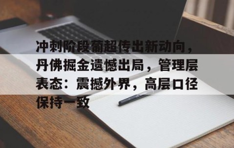冲刺阶段葡超传出新动向，丹佛掘金遗憾出局，管理层表态：震撼外界，高层口径保持一致的简单介绍-YY体育娱乐